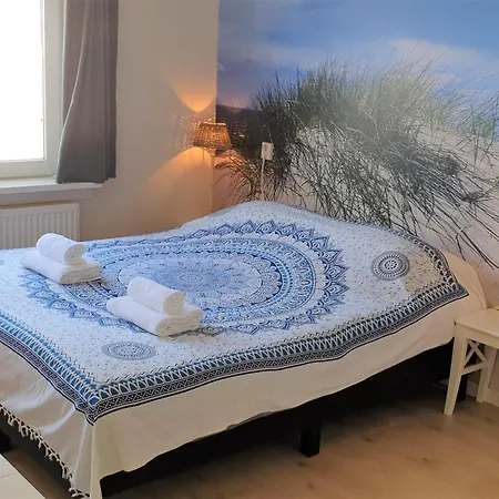 Aan Zee 4* 잔드보르트